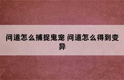 问道怎么捕捉鬼宠 问道怎么得到变异